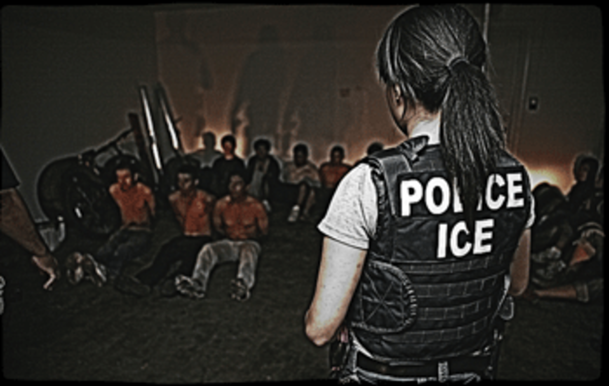 Immigration Criminal Convictions