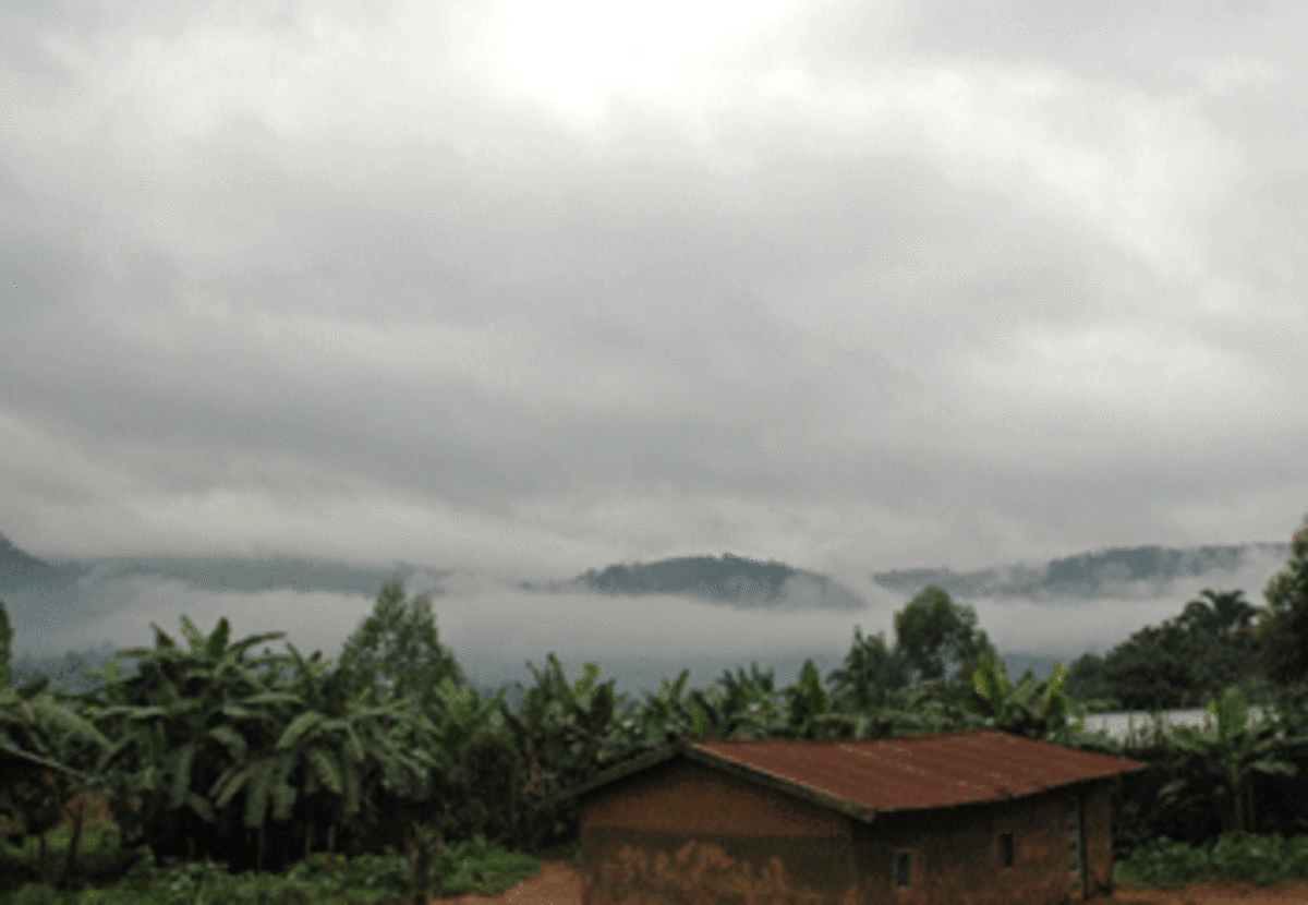 Eastern Congo (Photo: Georgianne Nienaber)