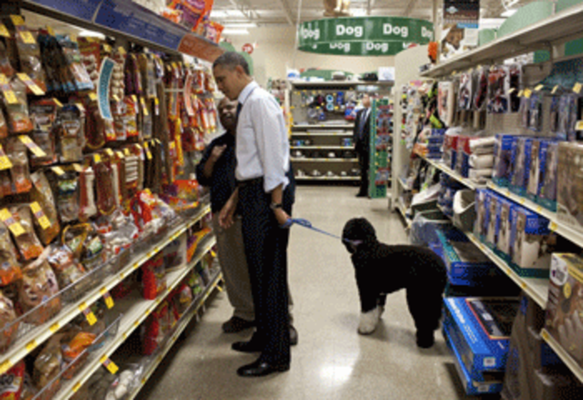 obama shops for dogfood