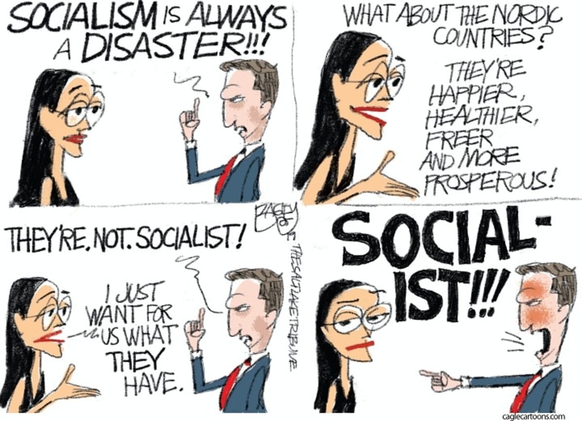 Are Democrats Socialists