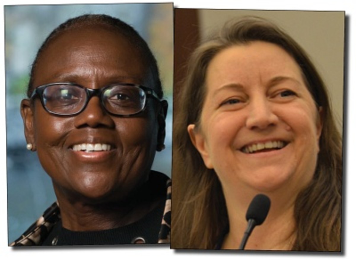 Articles by Cynthia Davis and Susie Shannon LA Progressive