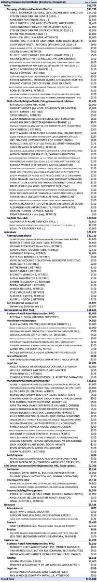 Table 3d. Tina McKinnor, all reported past contributions to 3/25/22. Including contributions, loans and roll-overs to self from previous campaigns, reflecting potentially inaccurate totals due to carry-overs.