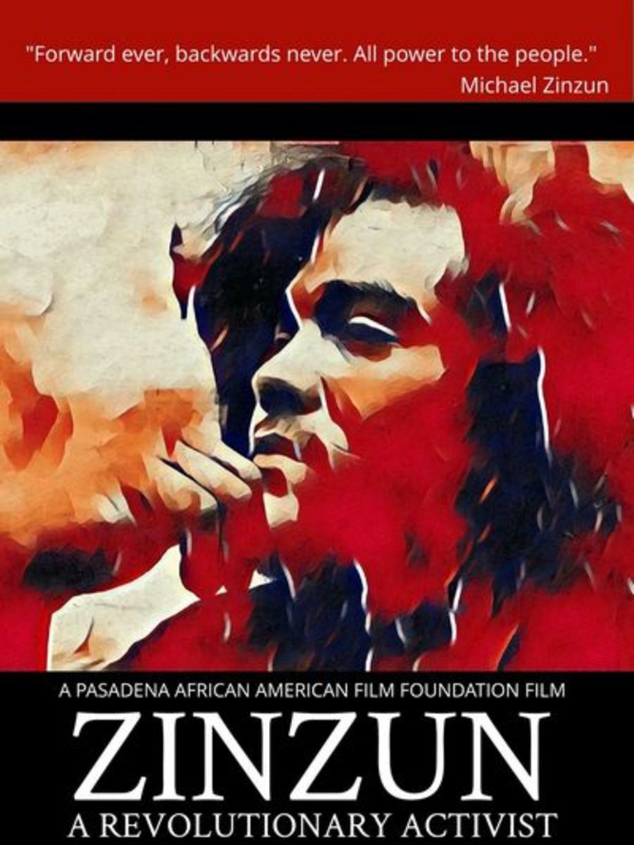 Zinzun A Revolutionary Activist