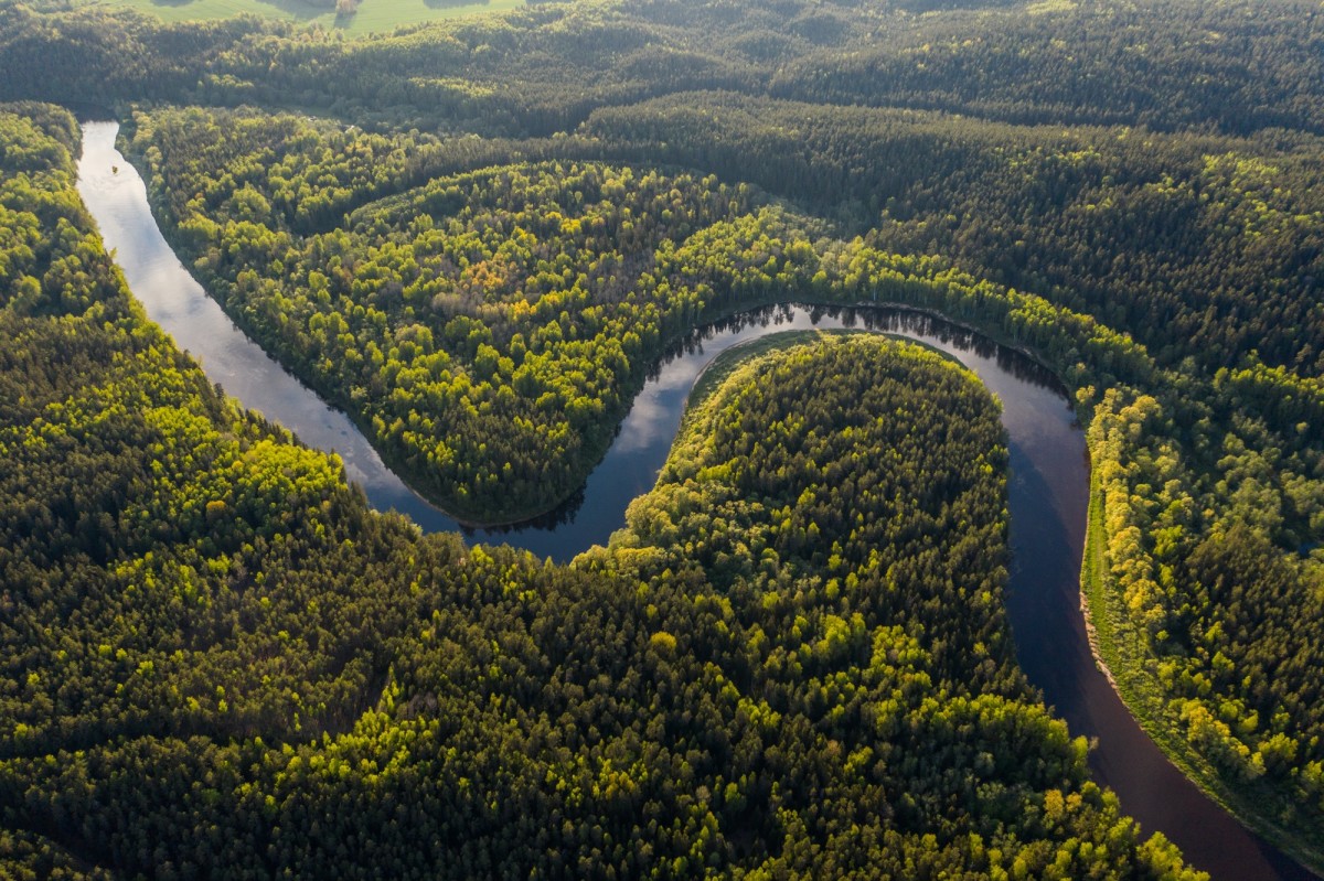 Brazil's Military Amazon Deforestation: The Massive Role They Play - Vimarsana News