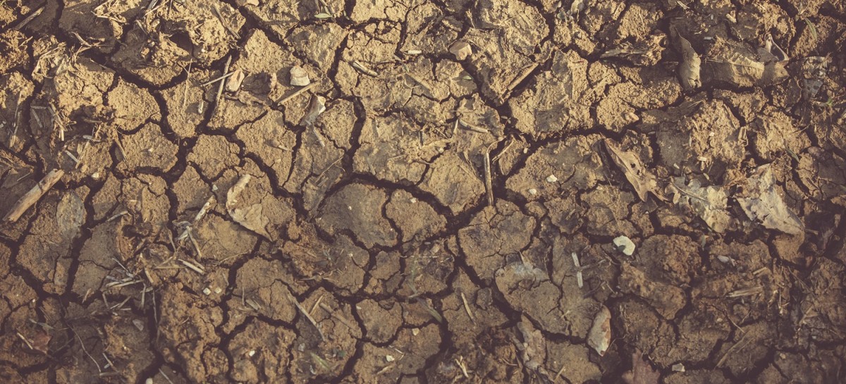 Climate Change Deregulation - Vimarsana News