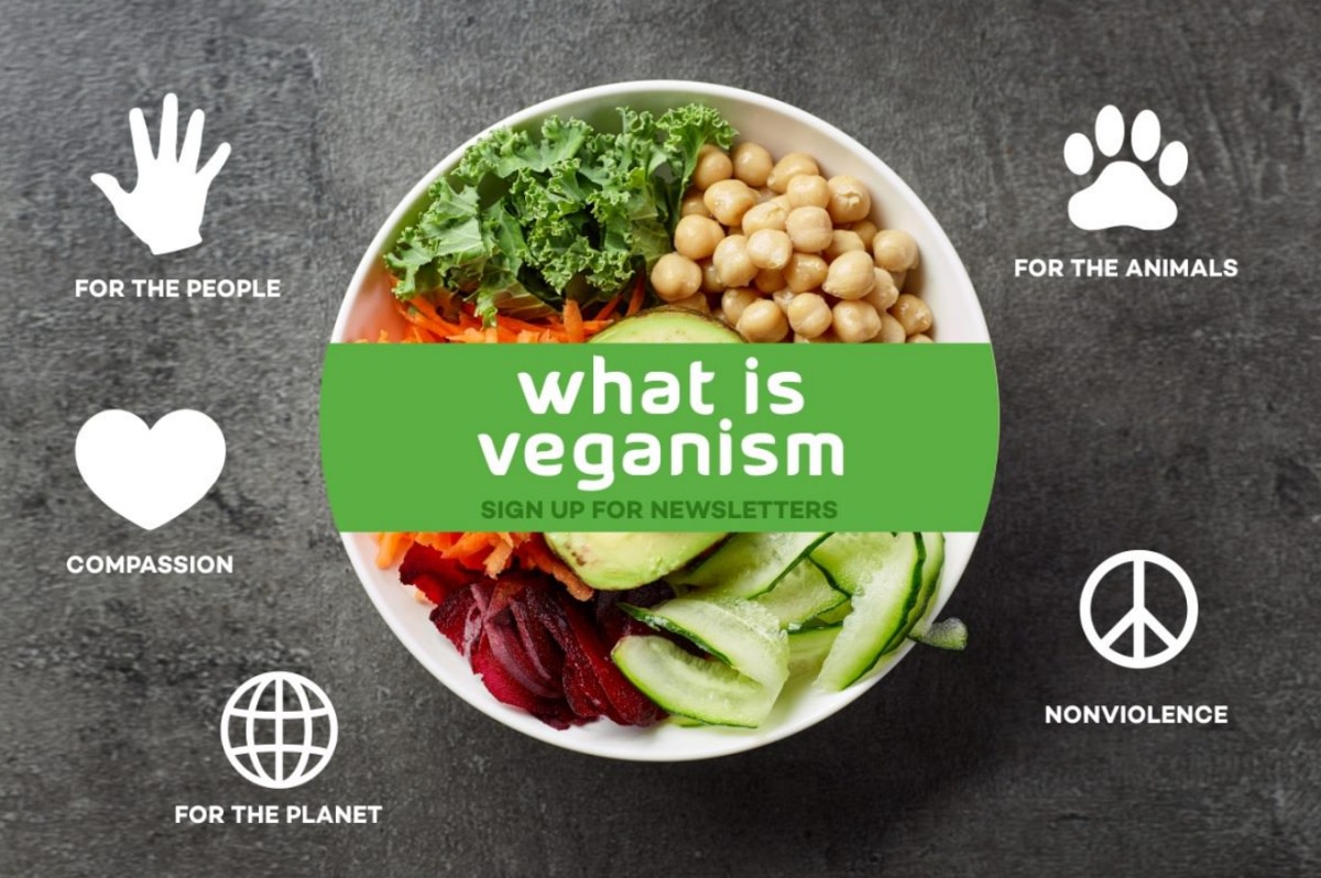 veganism 1201