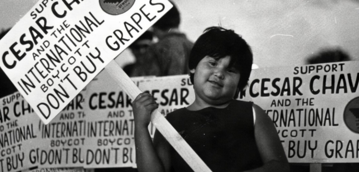 Boycotting Boycotts LA Progressive