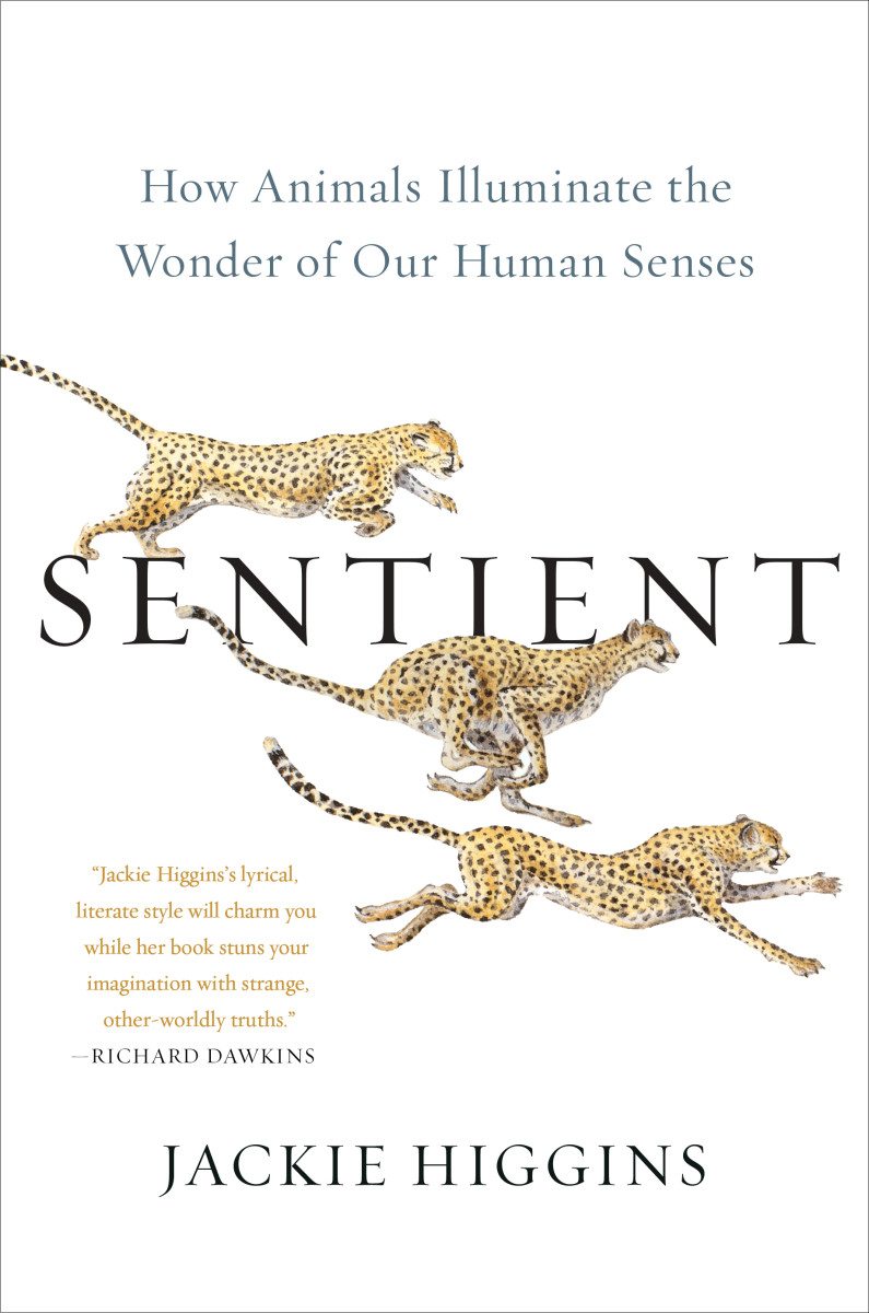Sentient: How Animals Illuminate the Wonder of Our Human Senses, by Jackie Higgins (Atria Books, 2022)