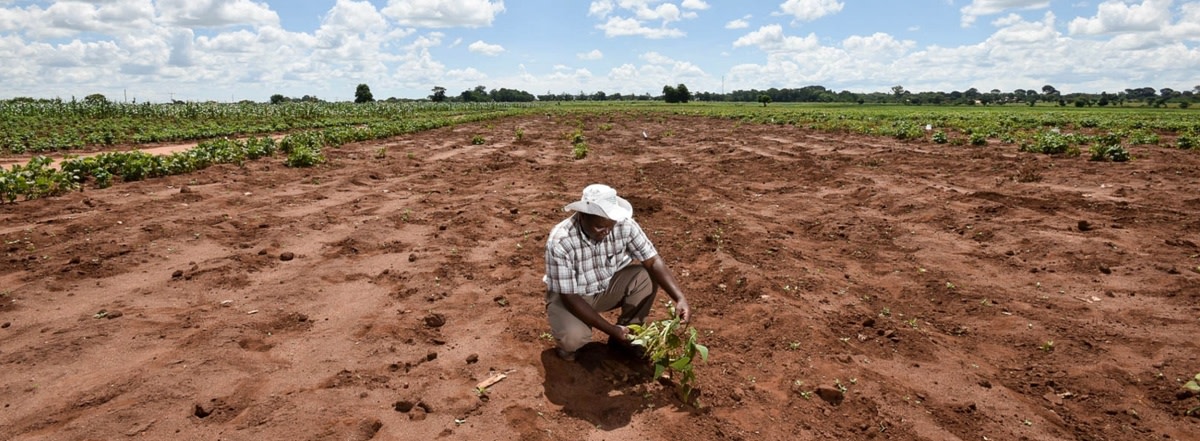 What Now With Climate Reparations Finally on the Table? - LA Progressive