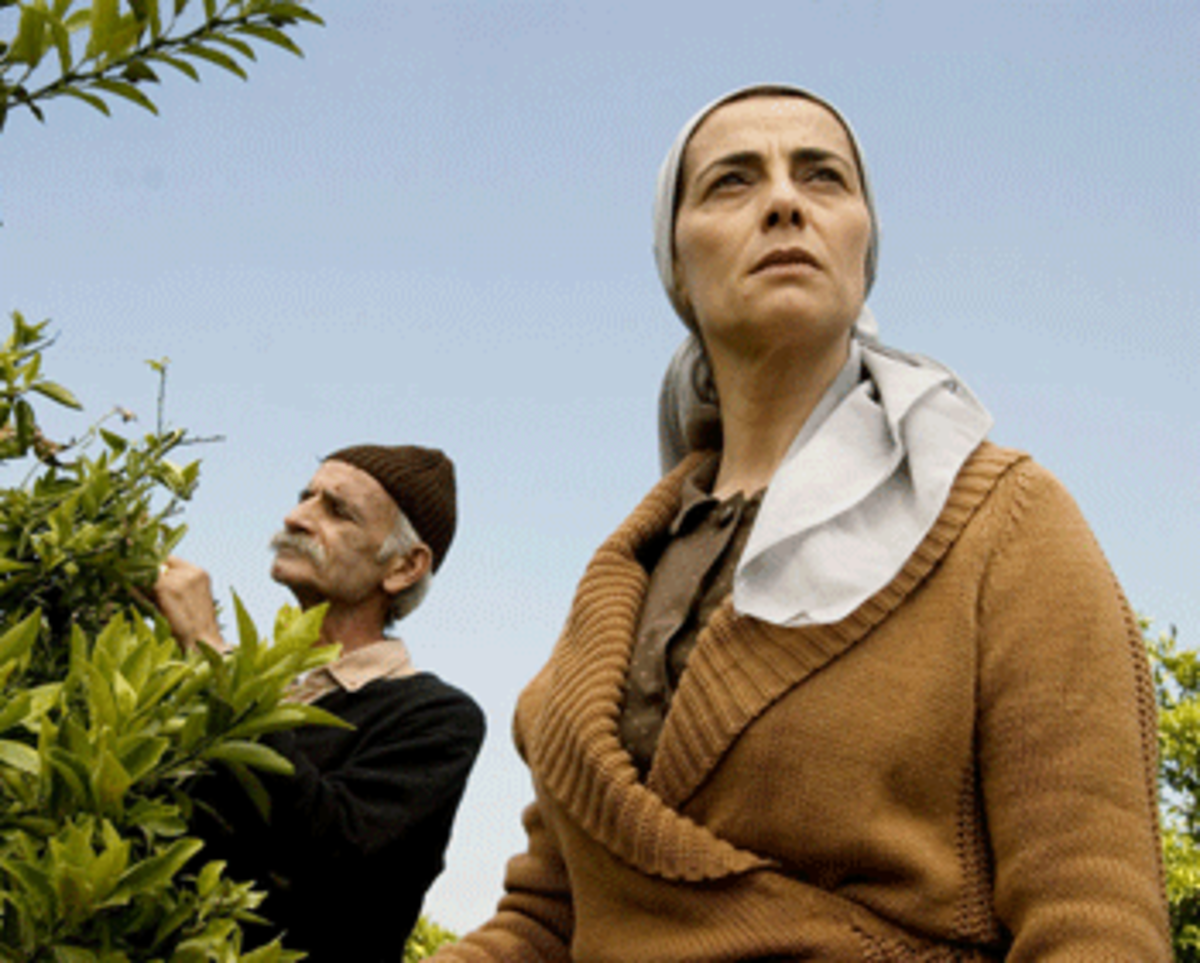 salma-zedane Salma Zidane (Hiam Abbass) stands to lose her family's livelihood in Lemon Tree. Photograph by Eitan Riklis
