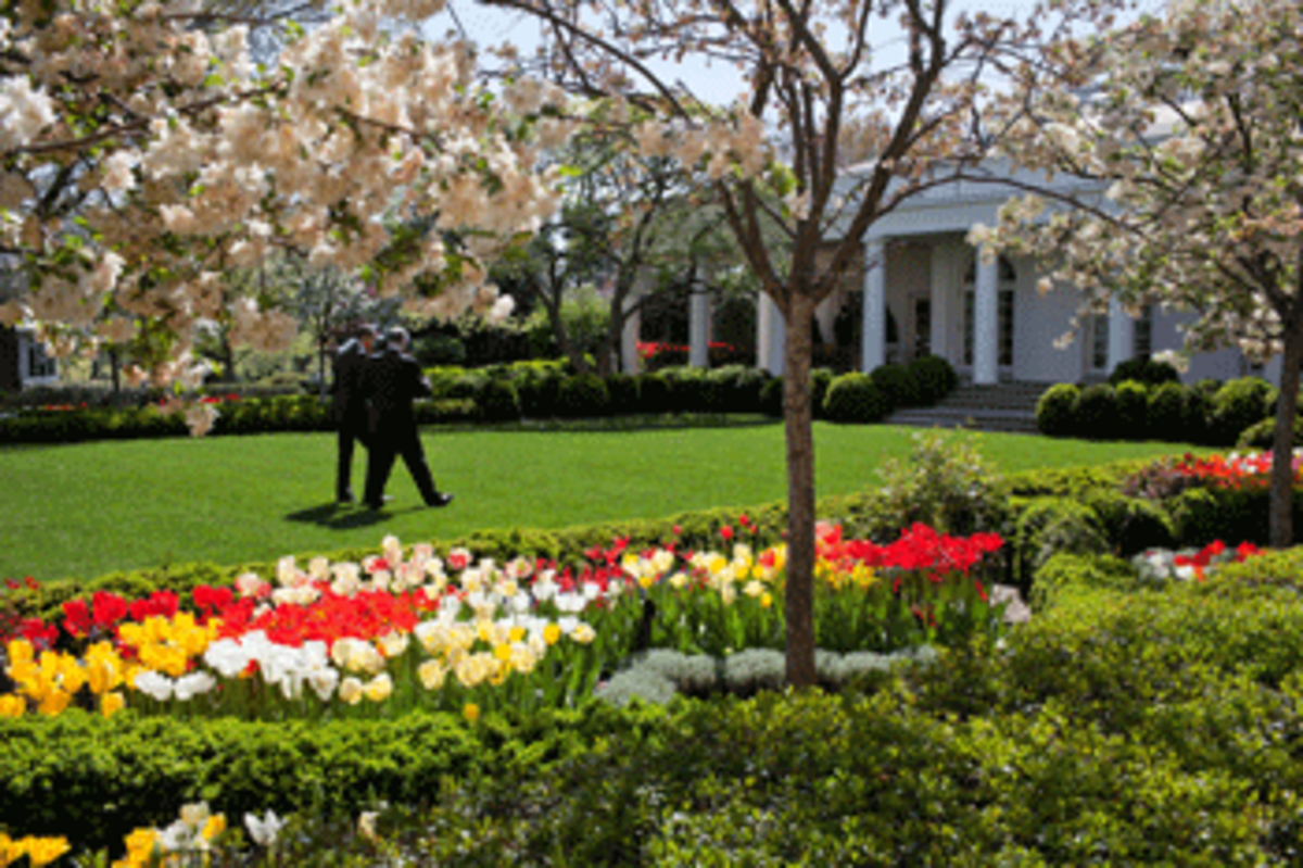 obama-rose-garden obama rose garden