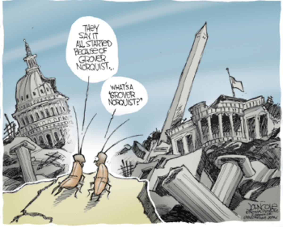 Small Government Fallacy