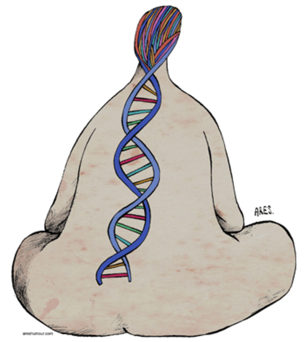 Religion and Science: A Beautiful Friendship?