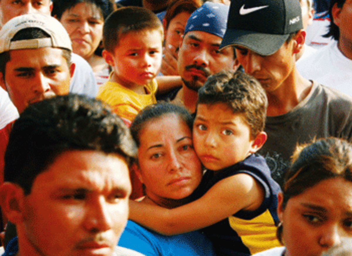immigraants