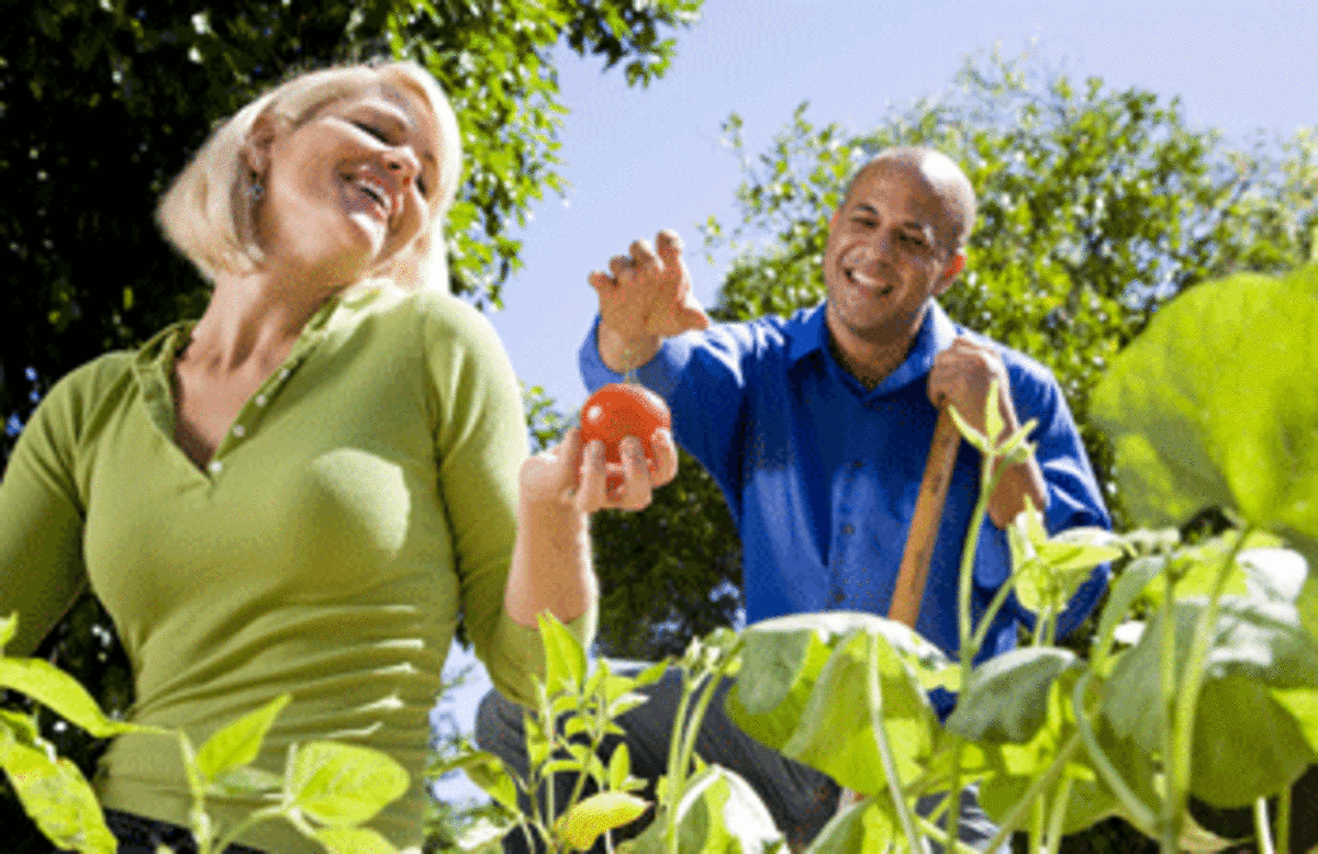 organic-gardening organic garden