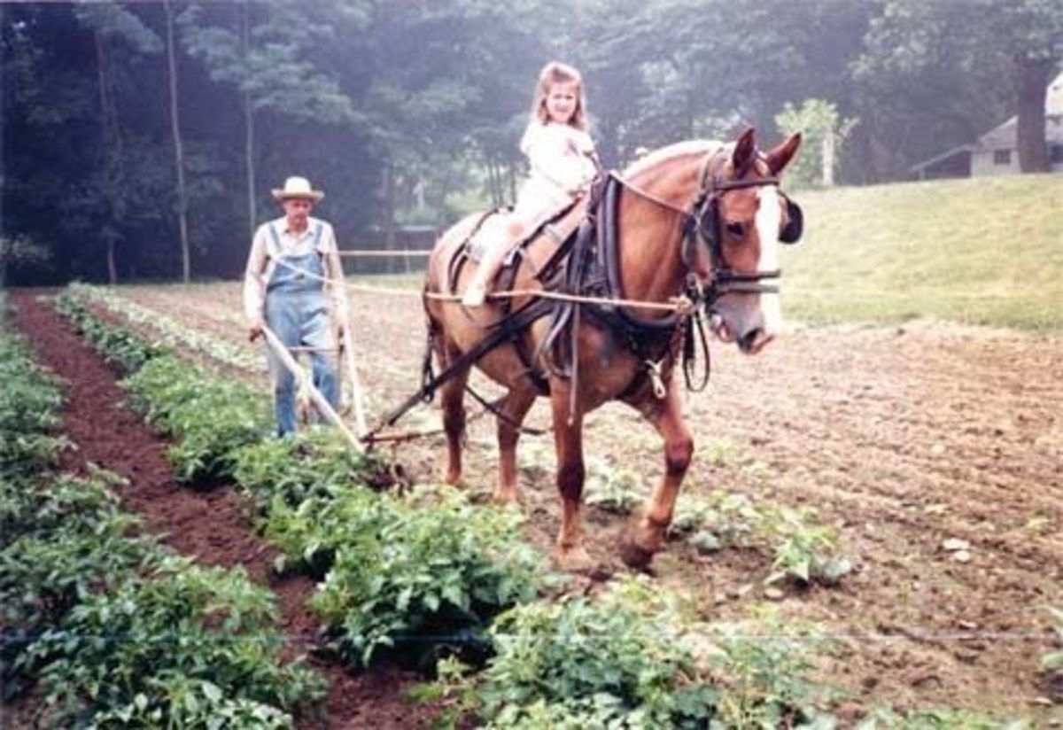 Wendell Berry and the Given Life