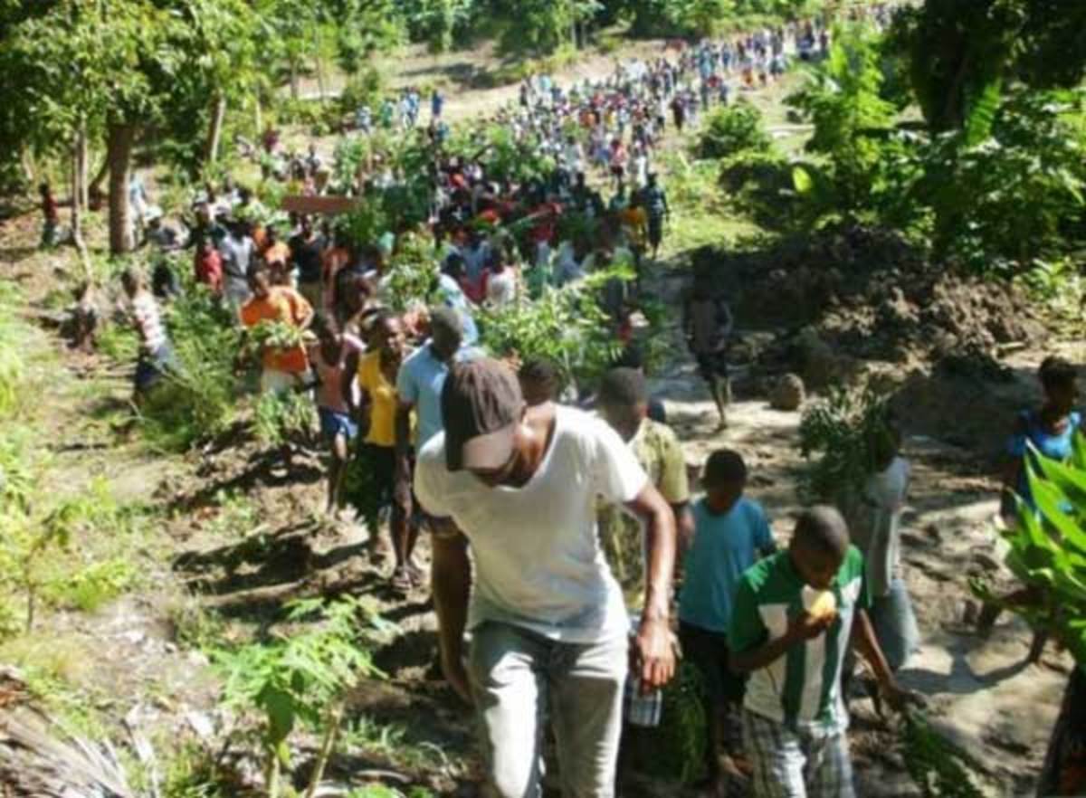 Haiti Land Grab