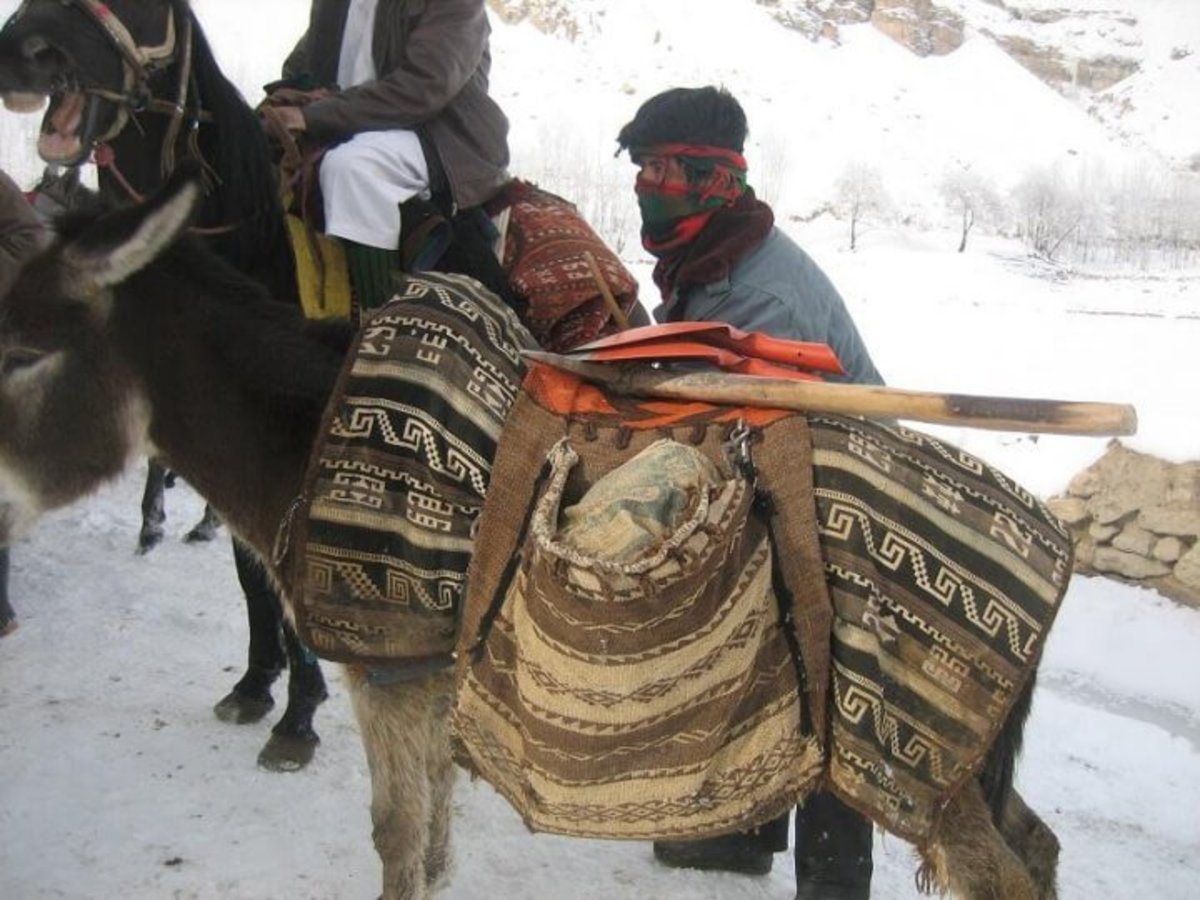 Afghan Ecology
