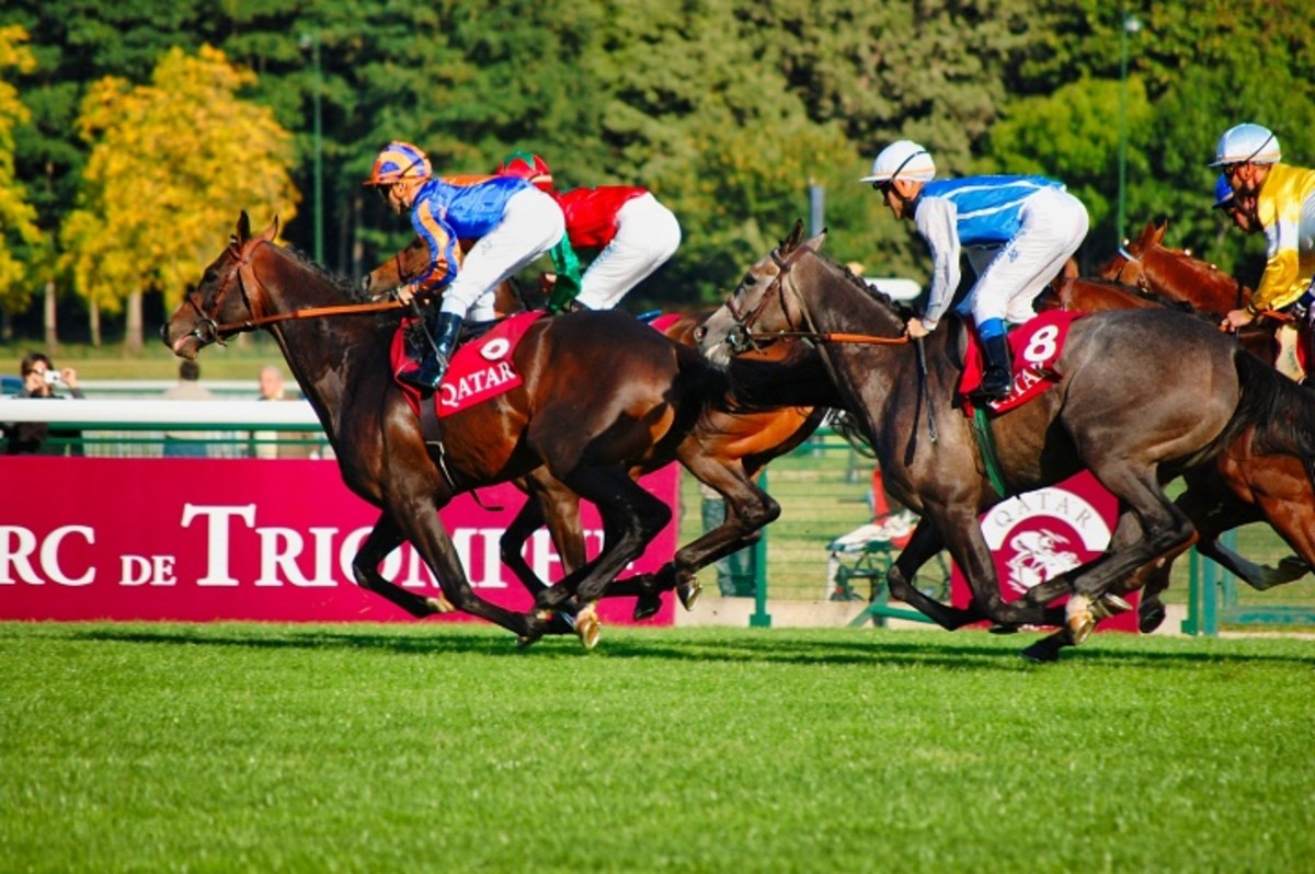 What 2021 Has In Store For Us Horse Racing Lovers La Progressive